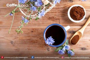 How to make Chicory Coffee at home Caffeine content
