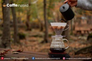 How to use a Chemex Coffee