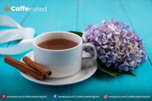 How to make Chicory Coffee at home Caffeine content