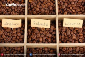 How to extend Coffee Shelve Life