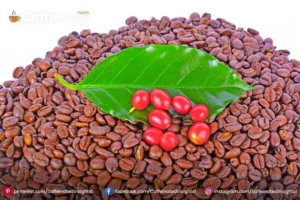 How to Flavor Coffee Beans