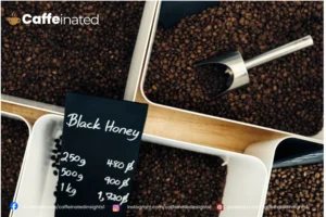 Javy Coffee Subscription Javy Coffee Subscription